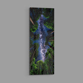 Upward view through towering forest trees to a glowing Milky Way in a star-filled sky. panoramic glass wall art E