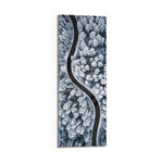 An aerial view of a dark, curving road snaking through a snow-covered pine forest in cool monochrome. panoramic glass wall art D