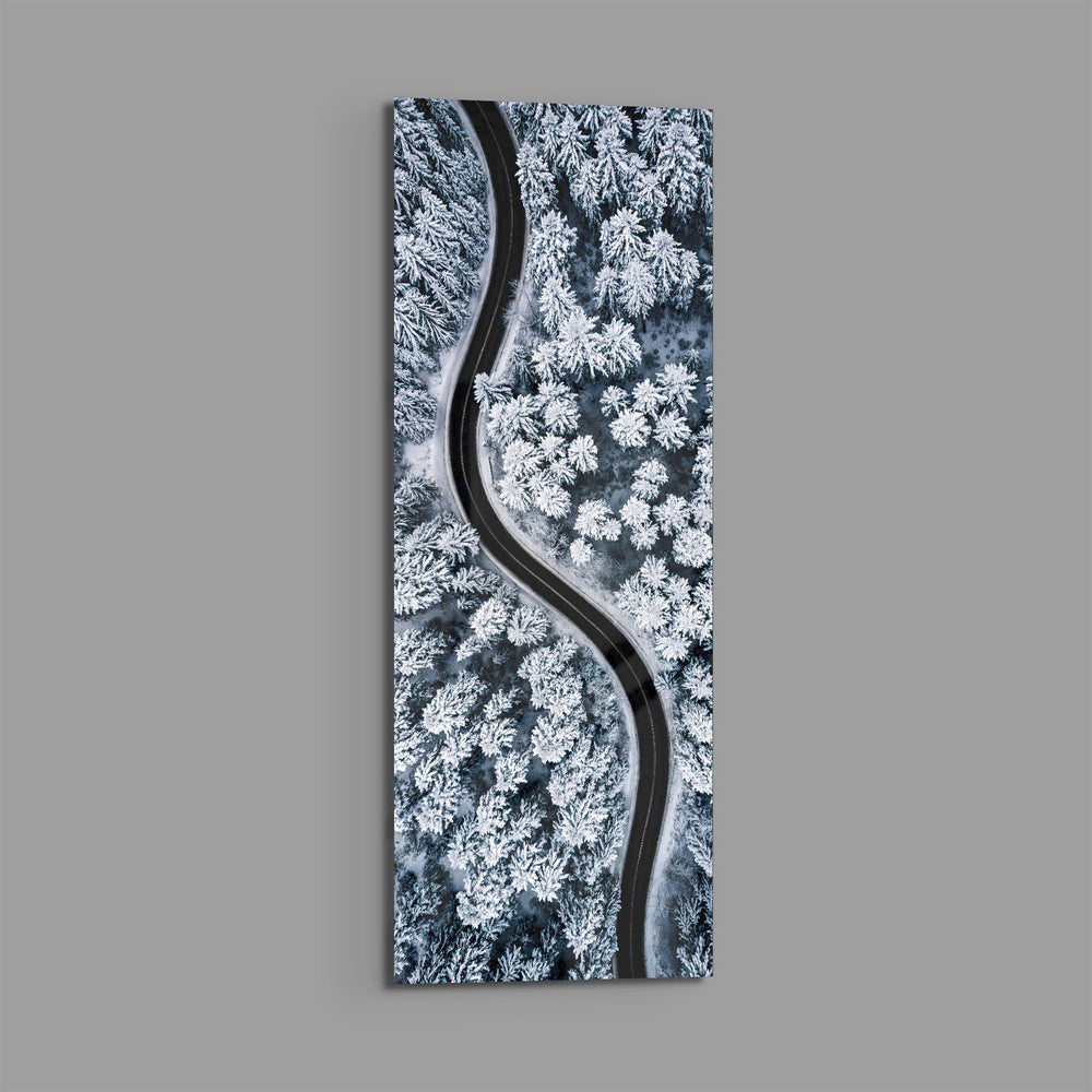 An aerial view of a dark, curving road snaking through a snow-covered pine forest in cool monochrome. panoramic glass wall art E