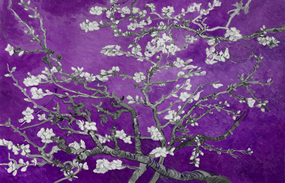 White Flowers Glass Wall Art