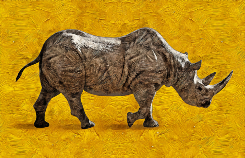 Rhino Glass Wall Art
