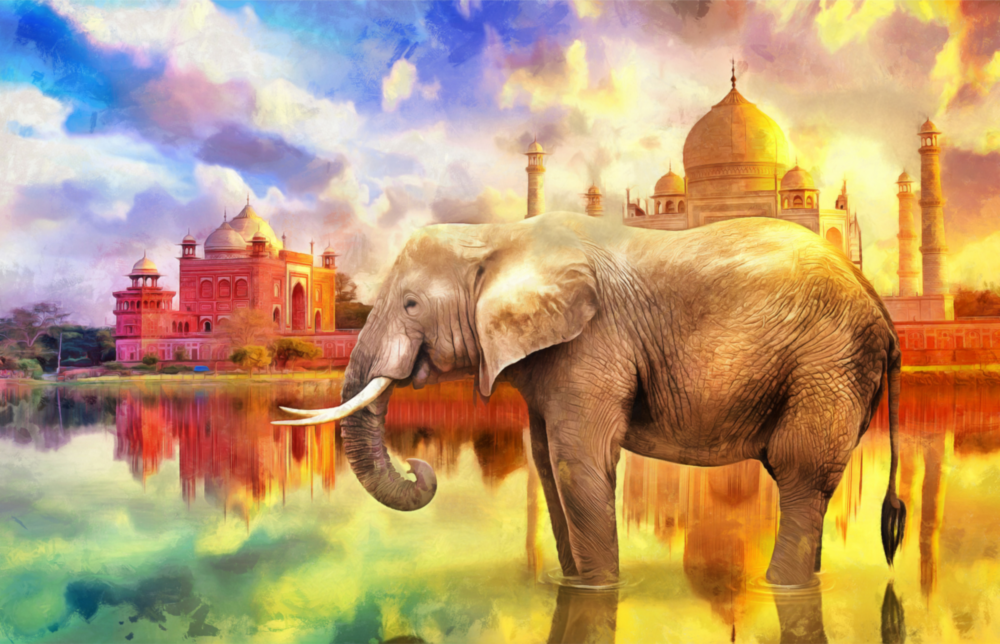 Elephant Glass Wall Art