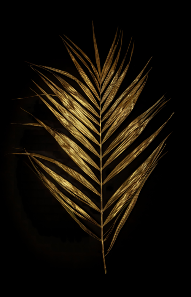 Feather Glass Wall Art
