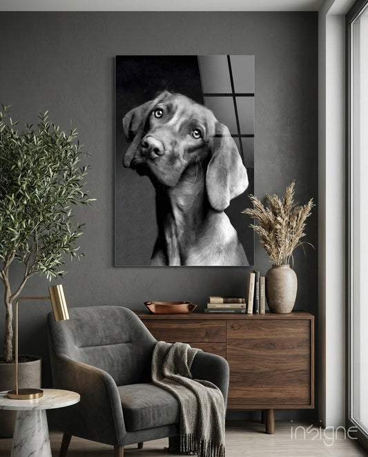 Tender Weimaraner glass wall art displayed above a walnut sideboard in a charcoal-walled lounge