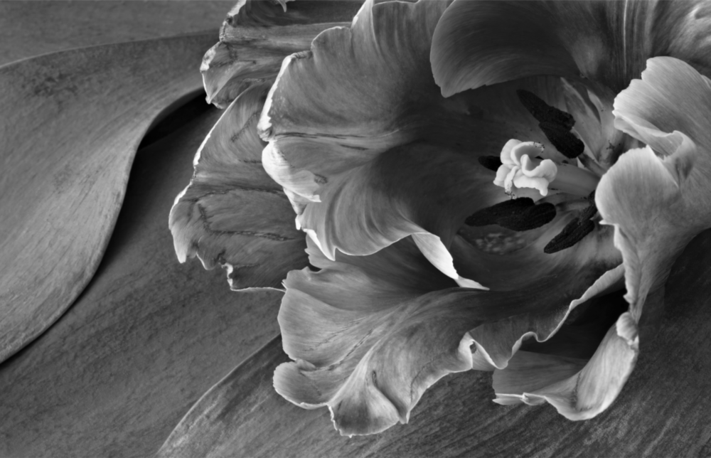 Flower Glass Wall Art