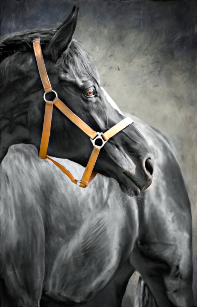 Horse Glass Wall Art