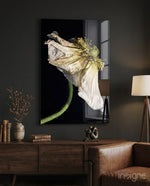 Flower glass wall art displayed above a walnut credenza in a moody charcoal-walled lounge with cognac armchair and dried botanicals