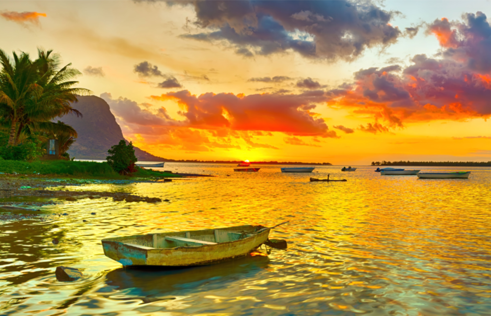 Sunset Fishing