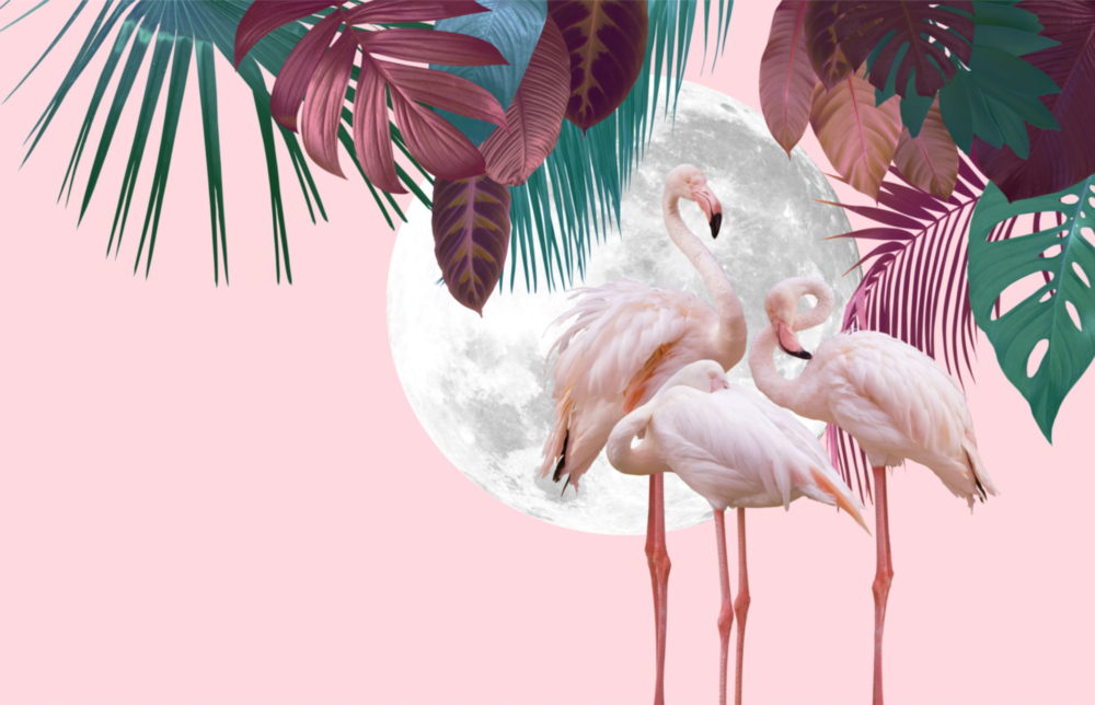 Flamingo Glass Wall Art
