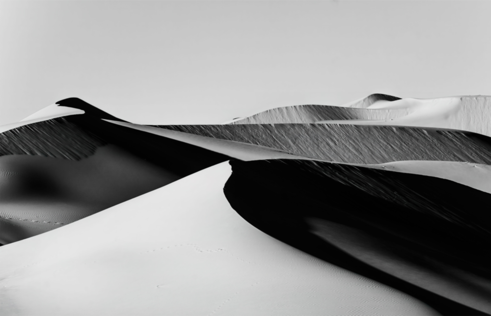 Black Landscape Glass Wall Art