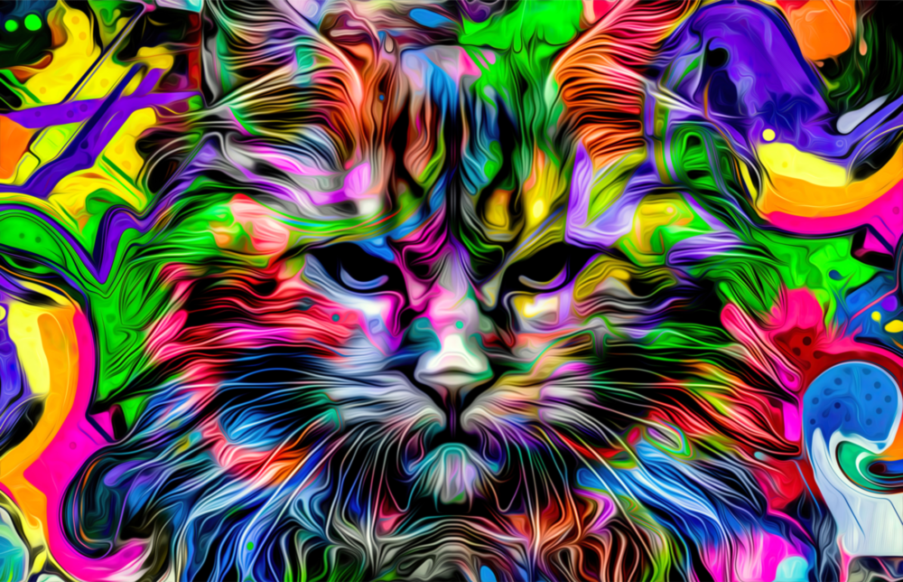Cat Glass Wall Art