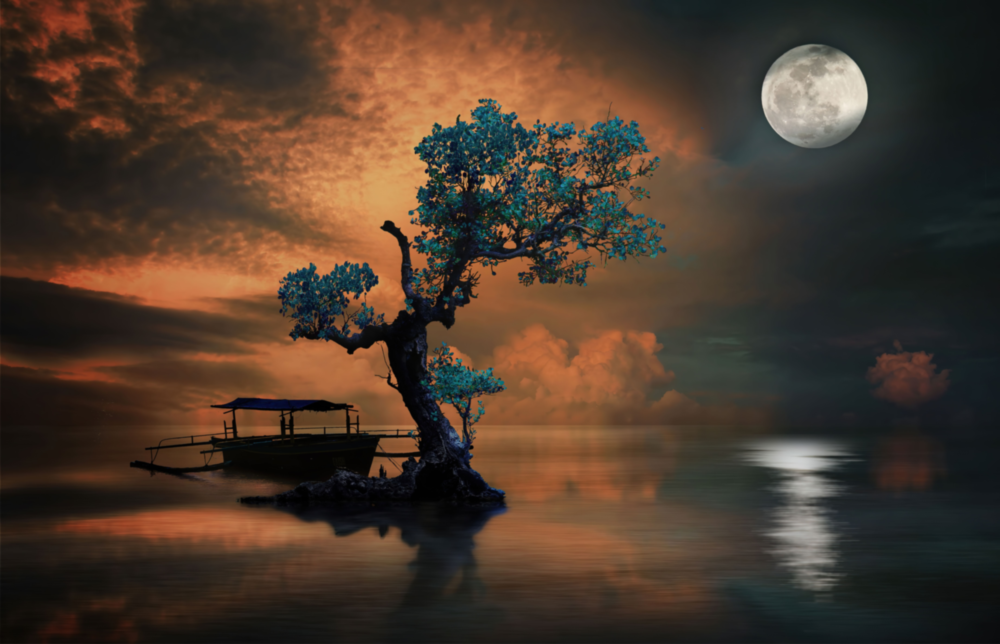 Night of the Tree Glass Wall Art