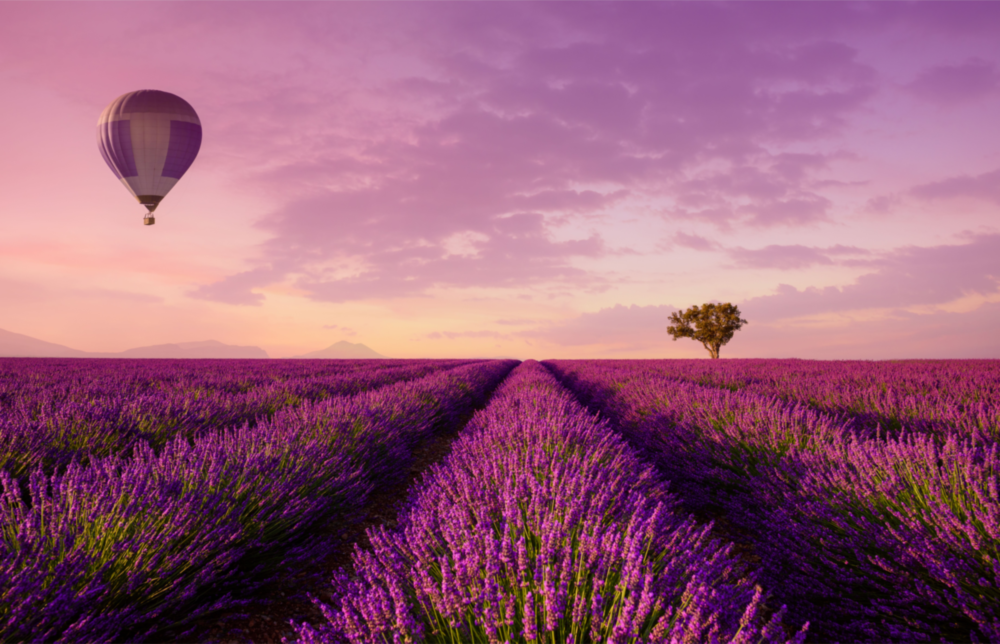 Lavender and Balloon Glass Art