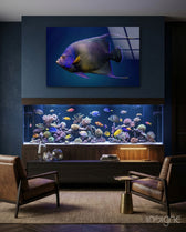 Queen Angelfish Glass Art - Lifestyle preview in a designer interior