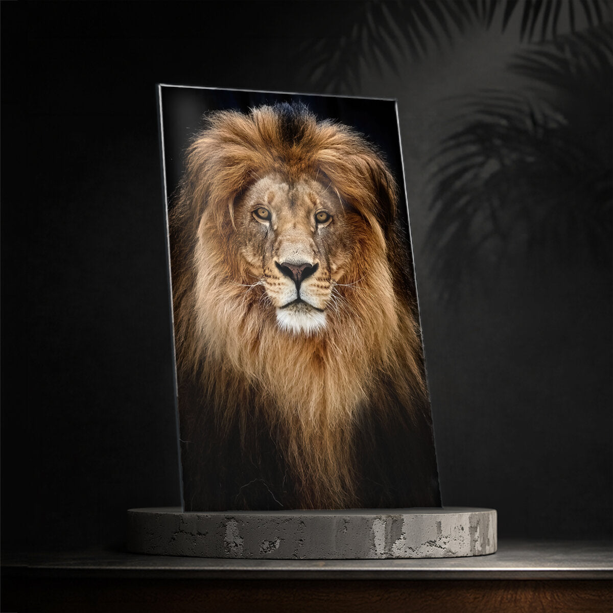 Lion Glass Wall Art — Lion Mane Amber Eyes Low Key Portrait Animal
