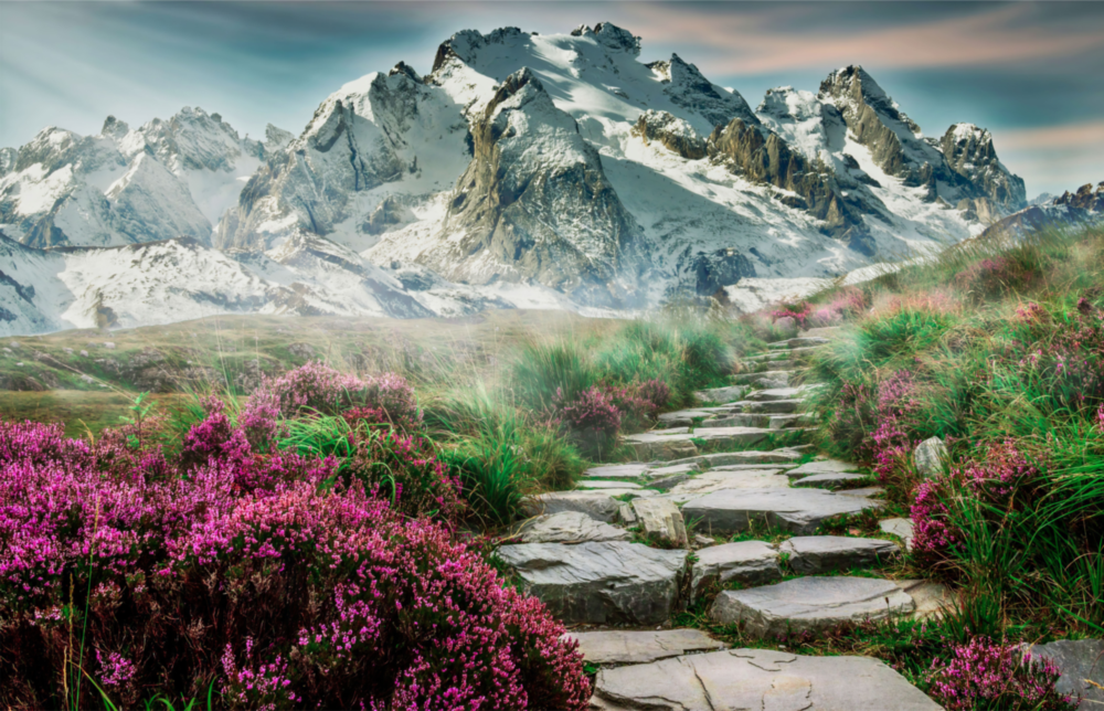 Footpath to Mountains Glass Wall Art