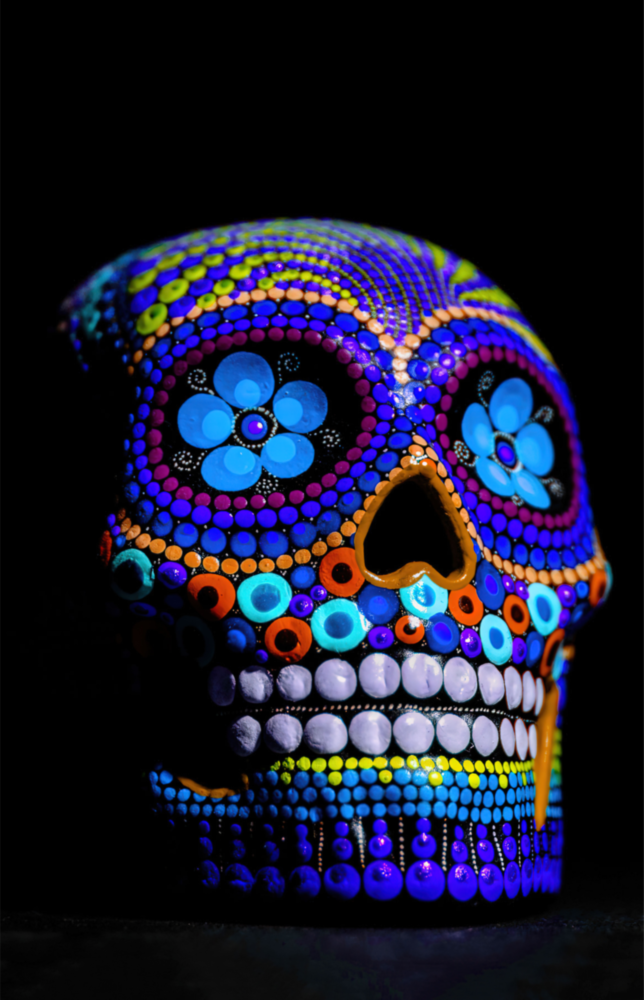 Sugar Skull Glass Wall Art