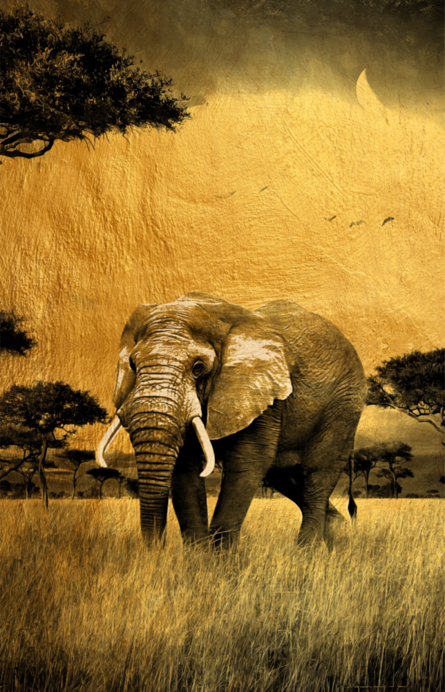 Elephant Glass Wall Art