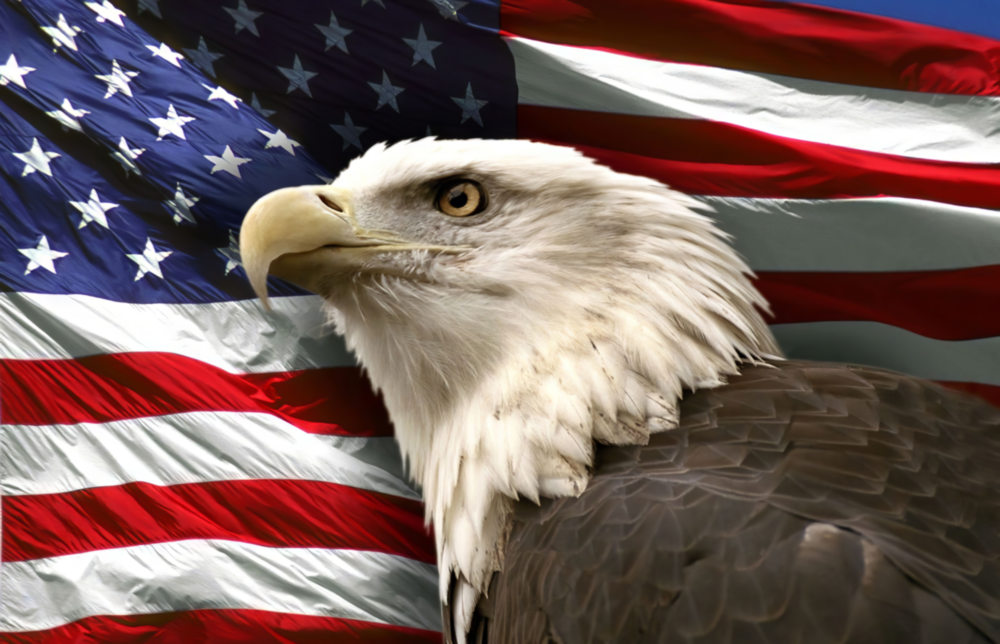 American Eagle Glass Wall Art