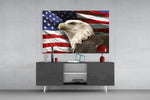American Eagle panel catching directional light to reveal its patriotic gravity