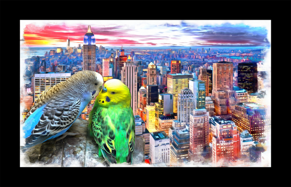 Budgies Glass Wall Art