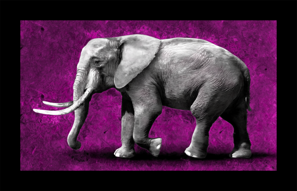 Elephant Glass Wall Art
