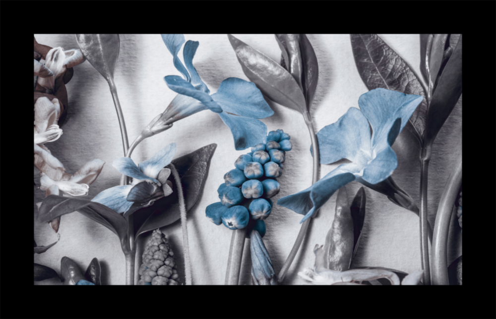 Flower Arrangement Glass Wall Art