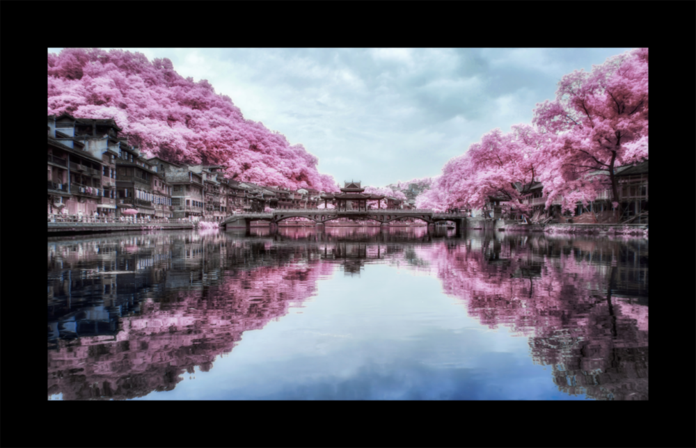 Sakura Trees Glass Wall Art