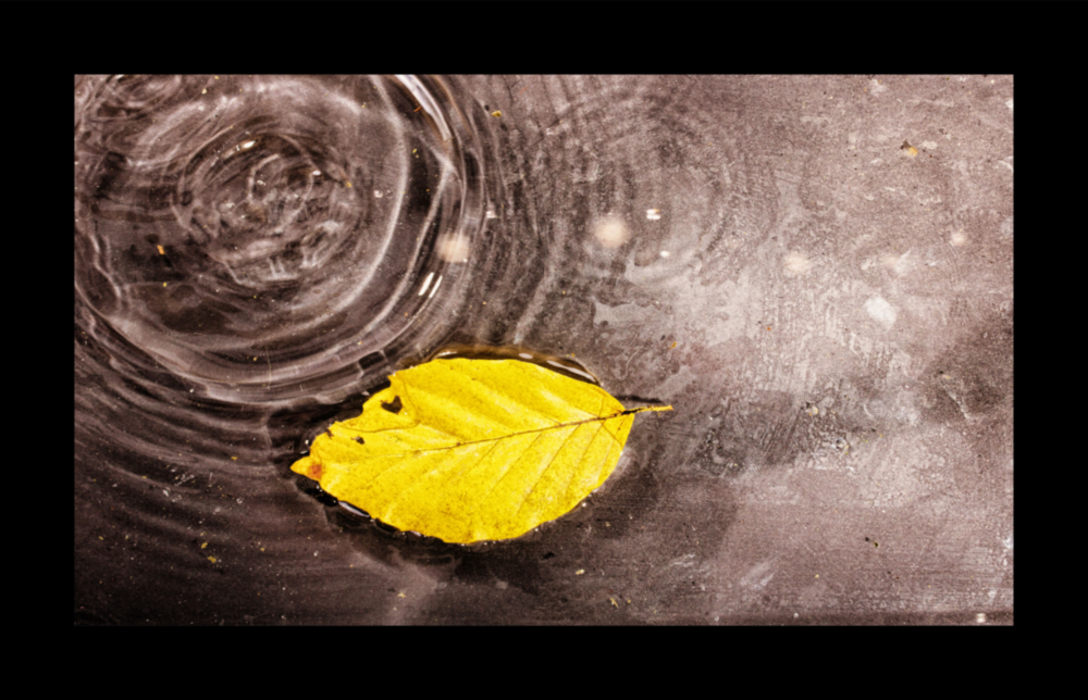 Autumn Glass Wall Art
