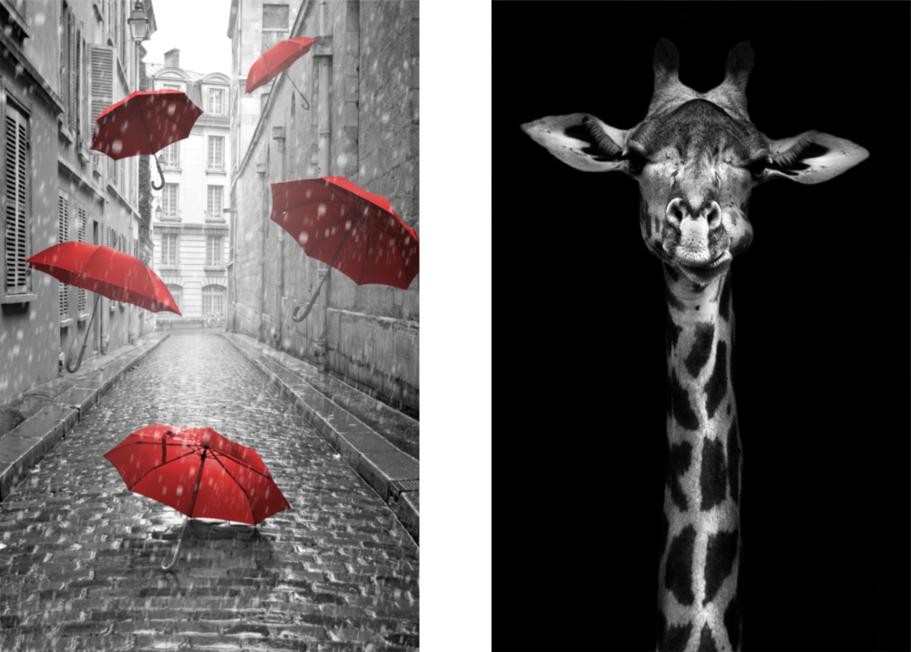 Giraffe and Umbrellas 2 Pieces Combine Glass Wall Art