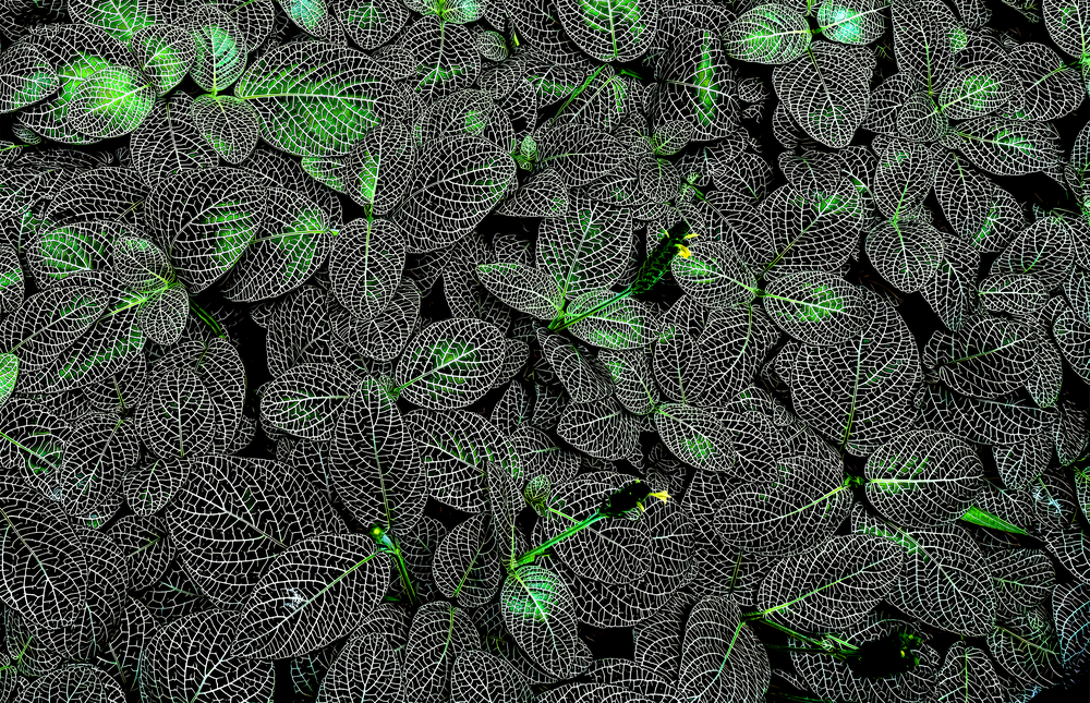 Luminous Leaf Veins Glass Wall Art