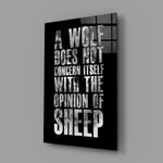 wolf opinion of sheep quote glass wall art angled to show the polished tempered glass panel