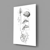 surreal balance collage of brain and heart glass wall art angled to show the polished tempered glass panel