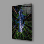 a redwood canopy opening to the Milky Way glass wall art angled to show the polished tempered glass panel