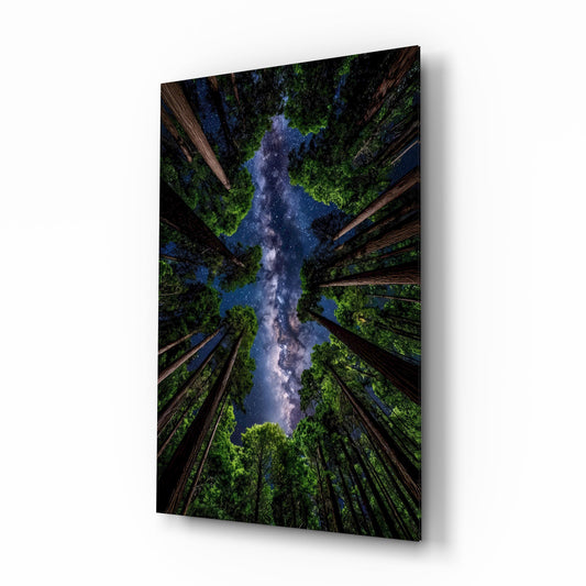 Redwood Canopy Milky Way Night Sky Glass Wall Art - Lifestyle preview in a designer interior