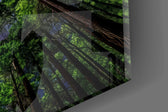 Close-up detail of the star-dusted gap between the treetops on the glass surface