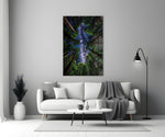 a redwood canopy opening to the Milky Way panel bringing character to a minimalist living room wall