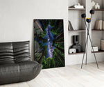 a redwood canopy opening to the Milky Way glass wall art leaning beside a dark leather sofa