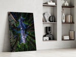 a redwood canopy opening to the Milky Way panel resting in a shelving niche in a modern interior