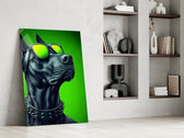black guard dog in yellow shades panel resting in a shelving niche in a modern interior