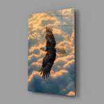 a bald eagle soaring above golden clouds glass wall art angled to show the polished tempered glass panel