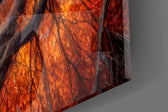 Close-up detail of the swirling amber canopy and the glowing center on the glass surface