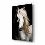 White Horse Flowing Mane Black Backdrop Glass Wall Art - Lifestyle preview in a designer interior