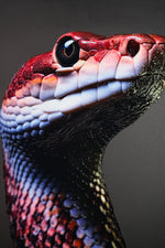 Dark Symbiote Noir — Haptic 3D Embossed + High-Gloss Lacquer Print