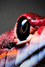 Dark Symbiote Noir — Haptic 3D Embossed + High-Gloss Lacquer Print