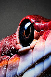 Dark Symbiote Noir — Haptic 3D Embossed + High-Gloss Lacquer Print