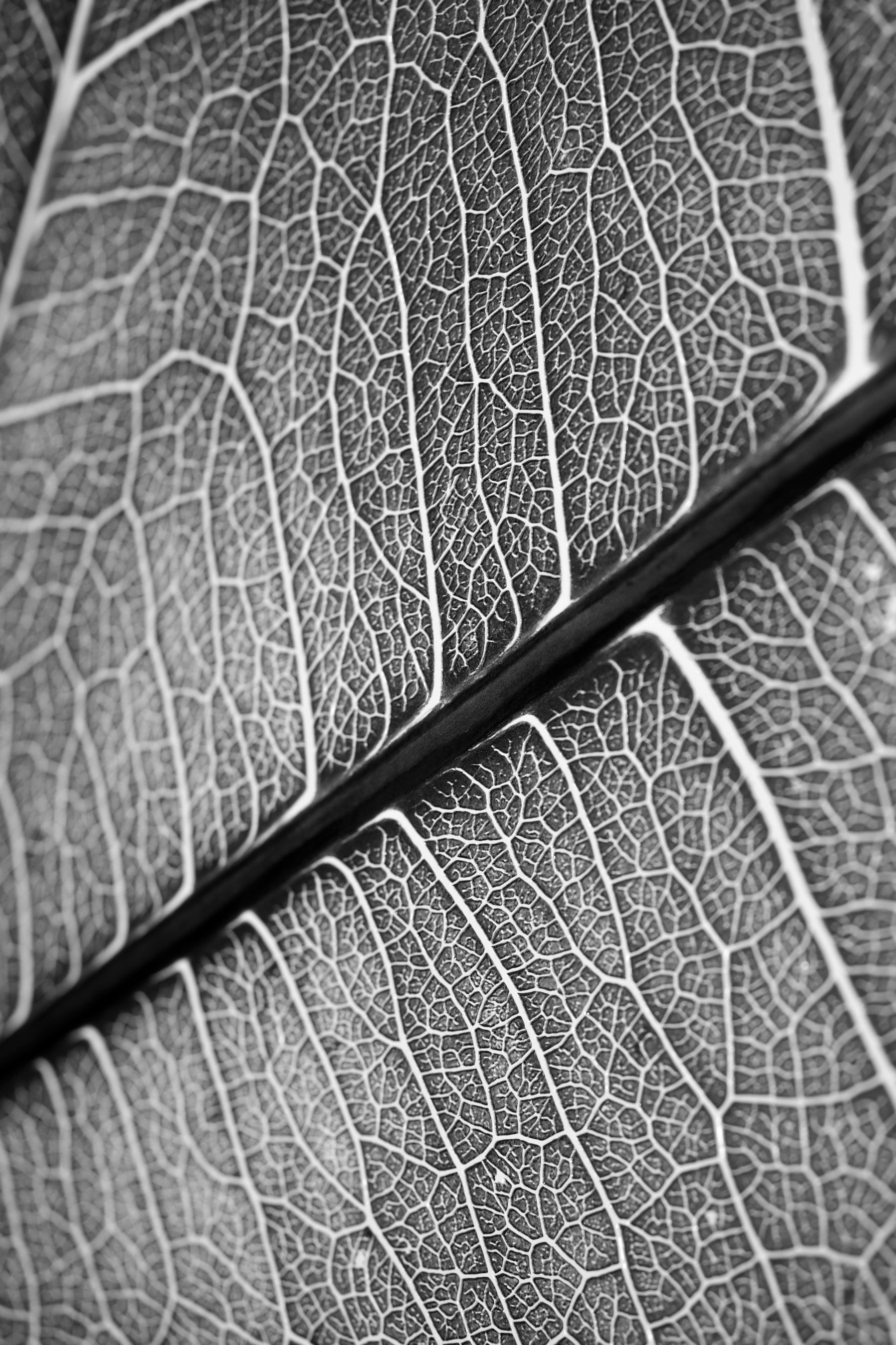 Silver Veins — Haptic 3D Embossed + Gloss Lacquer Print