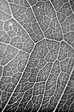 Silver Veins — Haptic 3D Embossed + Gloss Lacquer Print