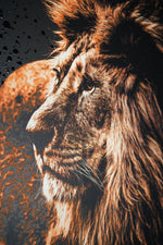 Lacquer Rain King — Haptic 3D Embossed + Pure Gloss Lacquer Print