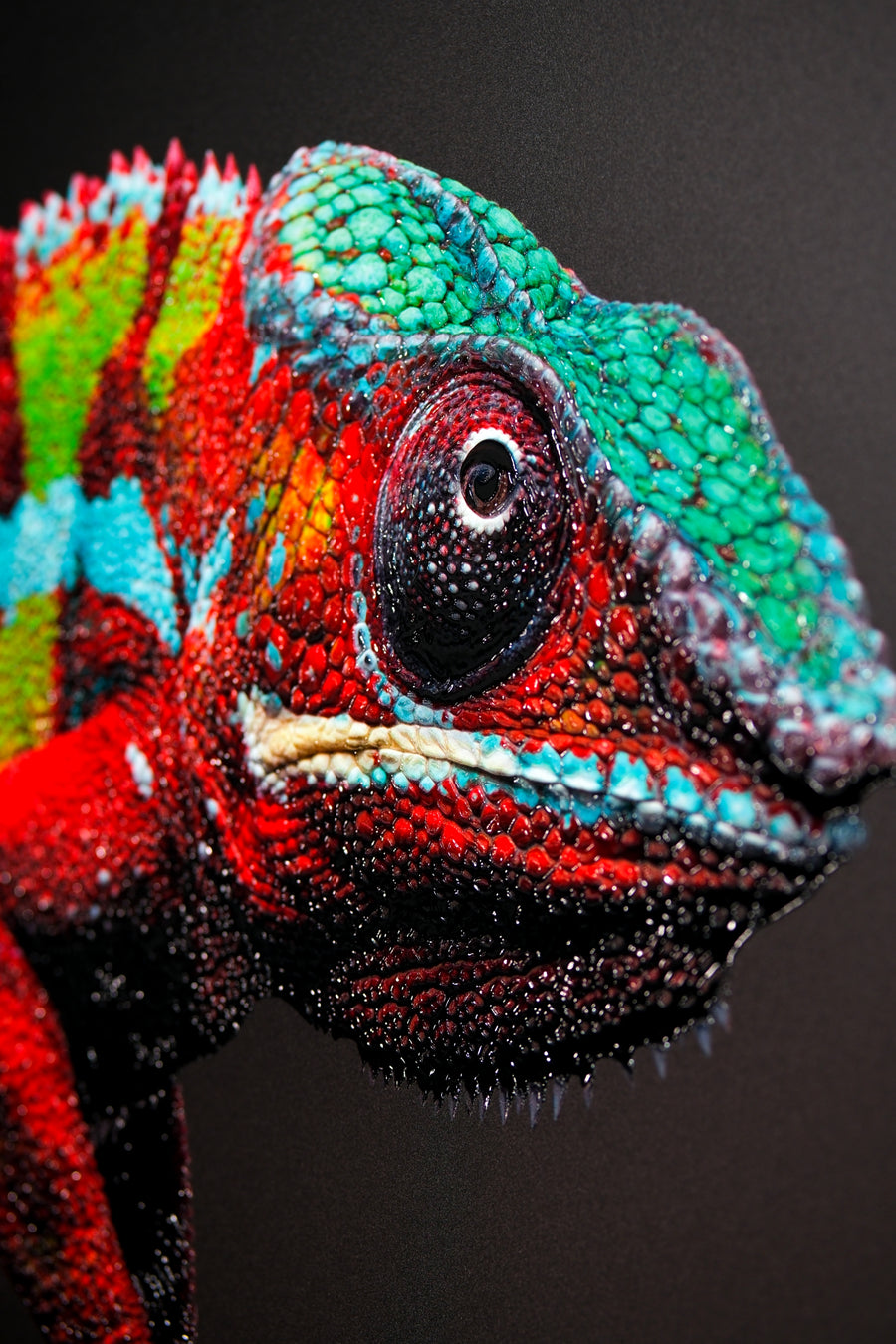 Prismskin Guardian — Haptic 3D Embossed + High-Gloss Lacquer Print